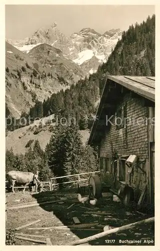 AK / Ansichtskarte Einoedsbach Buchrainer Alpe mit Maedelegabelgruppe Einoedsbach