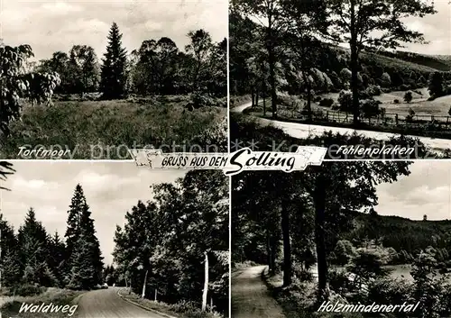 AK / Ansichtskarte Holzminden_Weser Holzmindenertal Fohlenplaken Waldweg Tortmoor Holzminden Weser