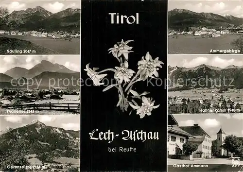 AK / Ansichtskarte Lech_Aschau bei Reutte Saeuling Ammergebirge Hahnenkamm Thaneller Gasthof Ammann Gerenspitze Lech Aschau