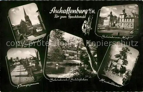 AK / Ansichtskarte Aschaffenburg_Main Stiftskirche Pompejanum Schoenborner Hof Aschaffenburg Main