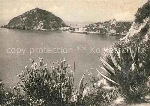 AK / Ansichtskarte Sant_Angelo_Ischia Panorama Sant_Angelo_Ischia