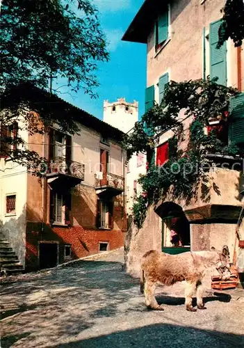 AK / Ansichtskarte Malcesine_Lago_di_Garda Altstadtgasse Malcesine_Lago_di_Garda