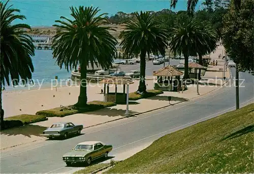 AK / Ansichtskarte Geelong Palmen Ritchie Boulevard Geelong