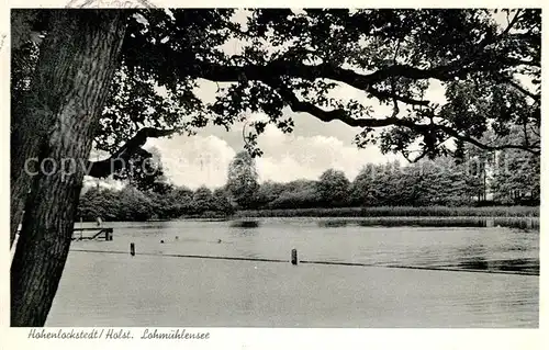 AK / Ansichtskarte Hohenlockstedt Lohmuehlensee Hohenlockstedt