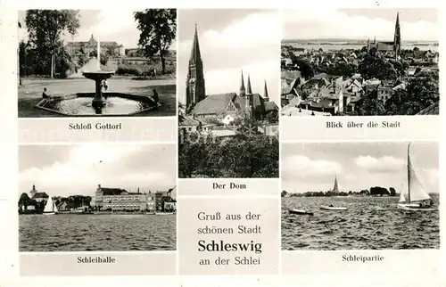 AK / Ansichtskarte Schleswig_Schlei Dom Schloss Gottorf Schleihalle Schleswig_Schlei