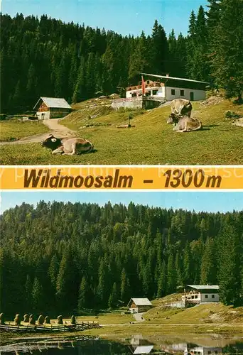 AK / Ansichtskarte Wildmoos Wildmoosalm Wildmoos