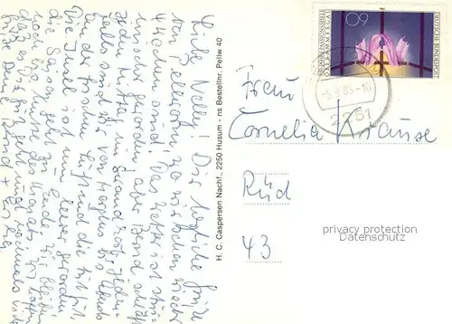 AK / Ansichtskarte Pellworm Faehre Weiden Leuchtturm Hafen Landschaftspanorama Fischkutter Kuehe Alte Kirche Pellworm