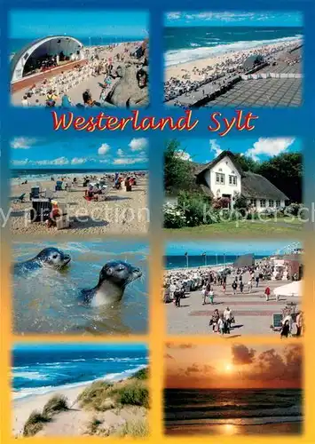 AK / Ansichtskarte Westerland_Sylt Konzertpavillon Promenade Strand Friesenhaus Seehunde Duenen Sonnenuntergang am Meer Westerland_Sylt