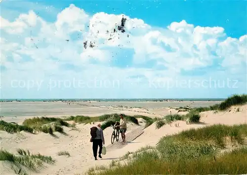 AK / Ansichtskarte Amrum Weg durch die Duenen zum Kniepsand Nordseeinsel Amrum