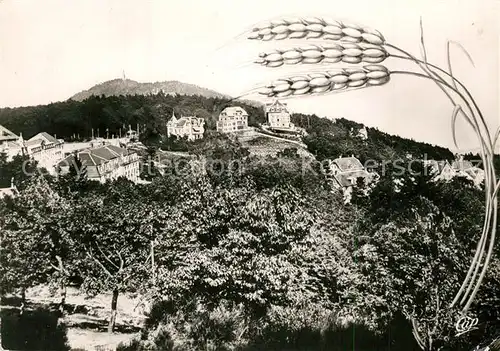 AK / Ansichtskarte Trois_Epis_Haut_Rhin_Elsass Vue des Villas Trois_Epis