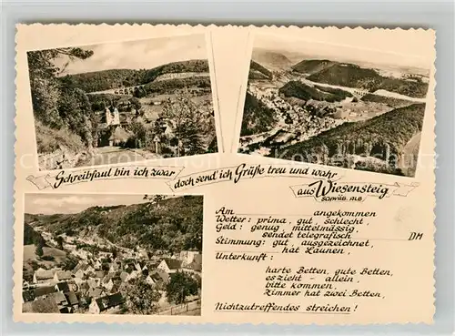 AK / Ansichtskarte Wiesensteig Albaufstieg Fliegeraufnahme Panorama Wiesensteig