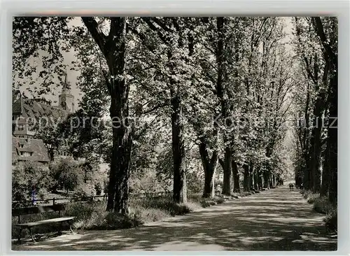 AK / Ansichtskarte Tuebingen Platanenallee Tuebingen