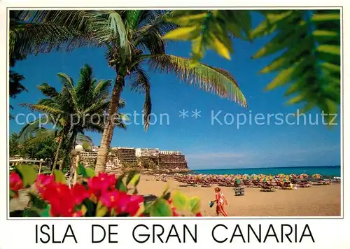 AK / Ansichtskarte San_Agustin_Gran_Canaria Strand Playa rodeade de palmeras Tropicales San_Agustin_Gran_Canaria