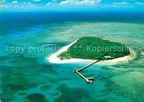 AK / Ansichtskarte Cairns_Australia Great Barrier Reef is a true coral island Cairns_Australia