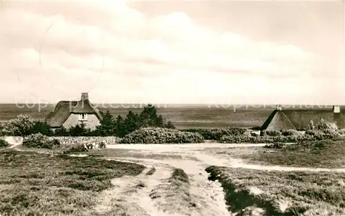 AK / Ansichtskarte Insel_Sylt Am Watt Friesenhaeuser Insel_Sylt