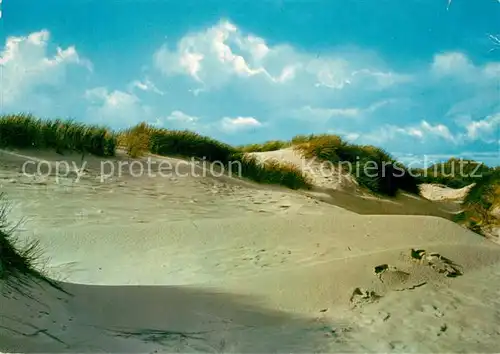 AK / Ansichtskarte Insel_Sylt Duenenlandschaft Insel_Sylt