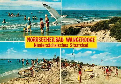 AK / Ansichtskarte Wangerooge_Nordseebad Strand Duenen Moewe Wangerooge_Nordseebad