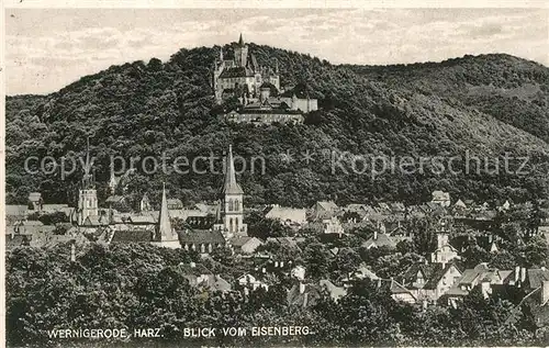 AK / Ansichtskarte Wernigerode_Harz Blick vom Eisenberg Wernigerode Harz