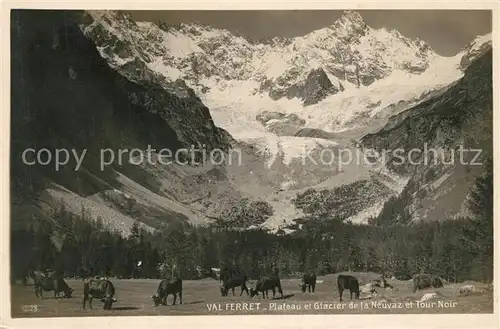 AK / Ansichtskarte Val_Ferret Plateau et Glacier de la Neuvaz et Tour Noir Kuehe Val_Ferret