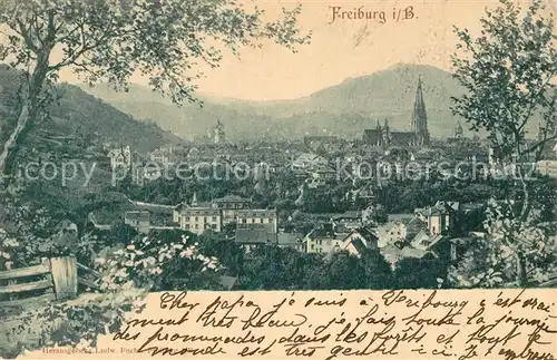AK / Ansichtskarte Freiburg_Breisgau Panorama Freiburg Breisgau