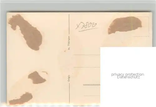 AK / Ansichtskarte Freiburg_Breisgau Muenster Winteraufnahme Freiburg Breisgau