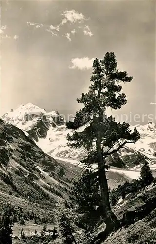 AK / Ansichtskarte Piz_Roseg  Piz_Roseg