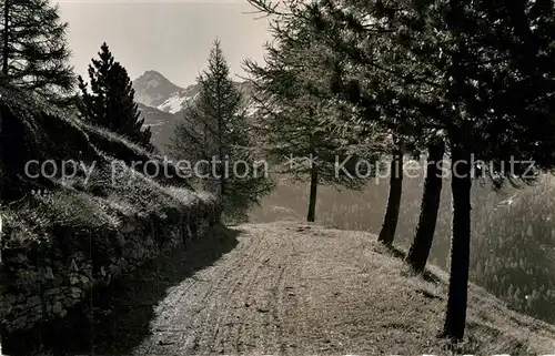 AK / Ansichtskarte Chandolin_VS Promenade pres de l Hotel Chandolin VS