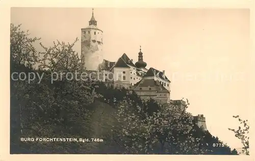 AK / Ansichtskarte Burgenland_Oesterreich Burg Forchtenstein Burgenland_Oesterreich