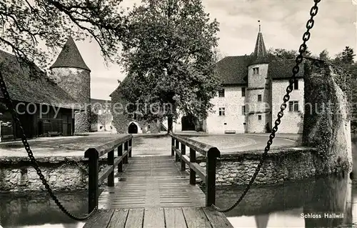 AK / Ansichtskarte Hallwil Schloss Hallwil Hallwil