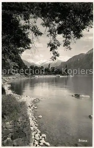 AK / Ansichtskarte Brienz_Brienzersee Panorama Brienz Brienzersee