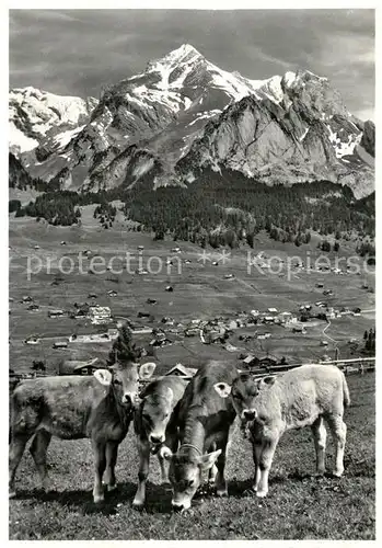 AK / Ansichtskarte Wildhaus_SG Kurort Wildhaus mit Schafberg und Saentis Kaelber auf der Weide Wildhaus SG