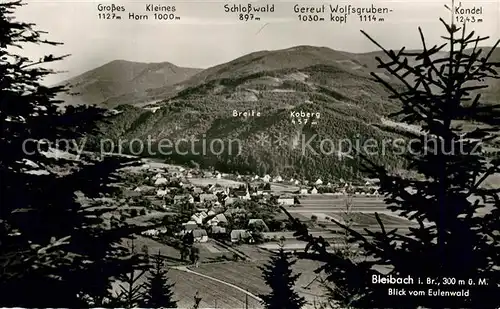 AK / Ansichtskarte Bleibach Panorama Bergkette Bleibach