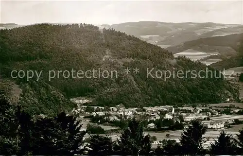 AK / Ansichtskarte Gutach_Breisgau Panorama Gutach Breisgau