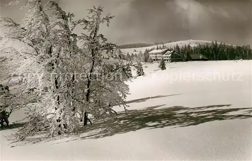 AK / Ansichtskarte Kandel_Breisgau Berghotel Winter Kandel Breisgau