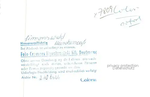 AK / Ansichtskarte Simonswald Maerchencaf Simonswald