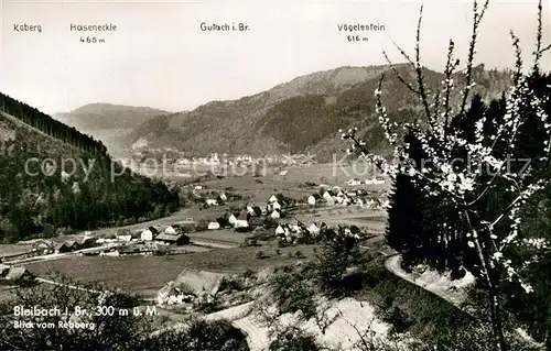 AK / Ansichtskarte Bleibach Panorama Blick vom Rebberg Bleibach