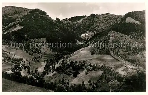 AK / Ansichtskarte Simonswaeldertal Blick ins Zweribachtal vom Dreitaelerblick Simonswaeldertal
