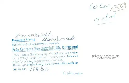 AK / Ansichtskarte Simonswald Maerchencafe Simonswald