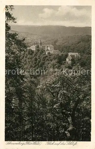 AK / Ansichtskarte Schwarzburg_Thueringer_Wald Schloss Schwarzburg_Thueringer