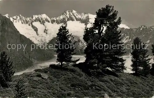 AK / Ansichtskarte Aletschgletscher bei Riederalp ob Moerel Aletschgletscher