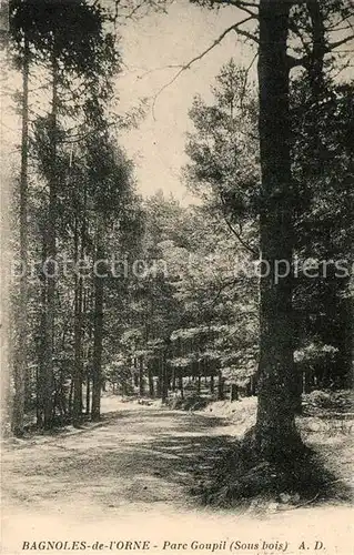 AK / Ansichtskarte Bagnoles de l_Orne Parc Goupil  Bagnoles de l_Orne