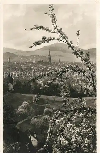 AK / Ansichtskarte Freiburg_Breisgau Stadtansicht Freiburg Breisgau