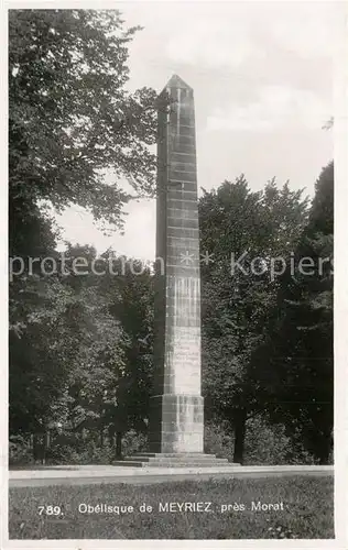 AK / Ansichtskarte Meyriez Obelisque Meyriez