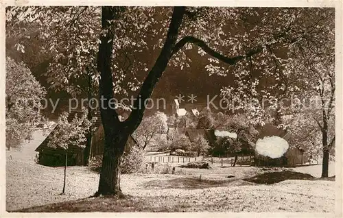 AK / Ansichtskarte Mittlach Vallee de Munster en automne Mittlach