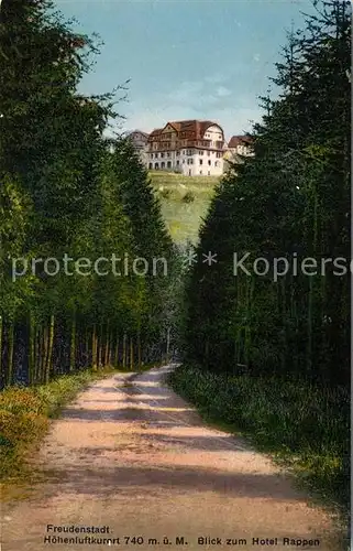 AK / Ansichtskarte Freudenstadt Waldweg Blick zum Hotel Rappen Freudenstadt
