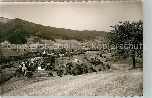 AK / Ansichtskarte Altsimonswald Panorama Altsimonswald