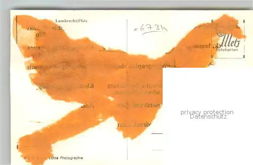 AK / Ansichtskarte Lambrecht Panorama Lambrecht