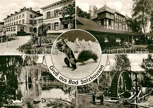 AK / Ansichtskarte Bad_Salzhausen Kurhaus Badehaus Wasserrad Schwanenteich  Bad_Salzhausen