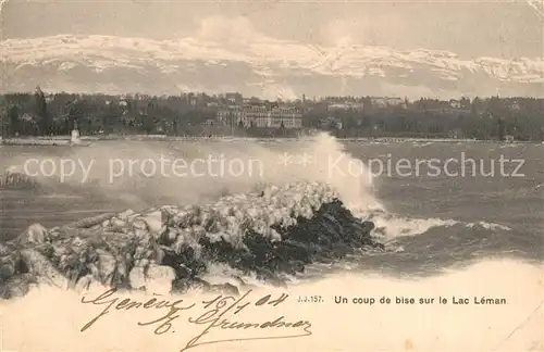 AK / Ansichtskarte Lac_Leman_Genfersee Un coup de bise sur le Lac Lac_Leman_Genfersee