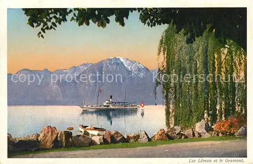 AK / Ansichtskarte Lac_Leman_Genfersee et le Gramont Lac_Leman_Genfersee